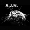   A.J.N.