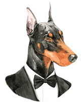   DOBERMAN