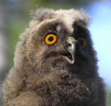 ������ ��� jonns95