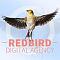   REDBIRDx